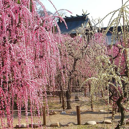 Miyako City Cu Exteriér fotografie