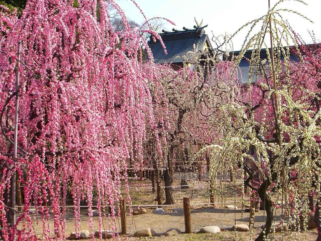 Miyako City Cu Exteriér fotografie