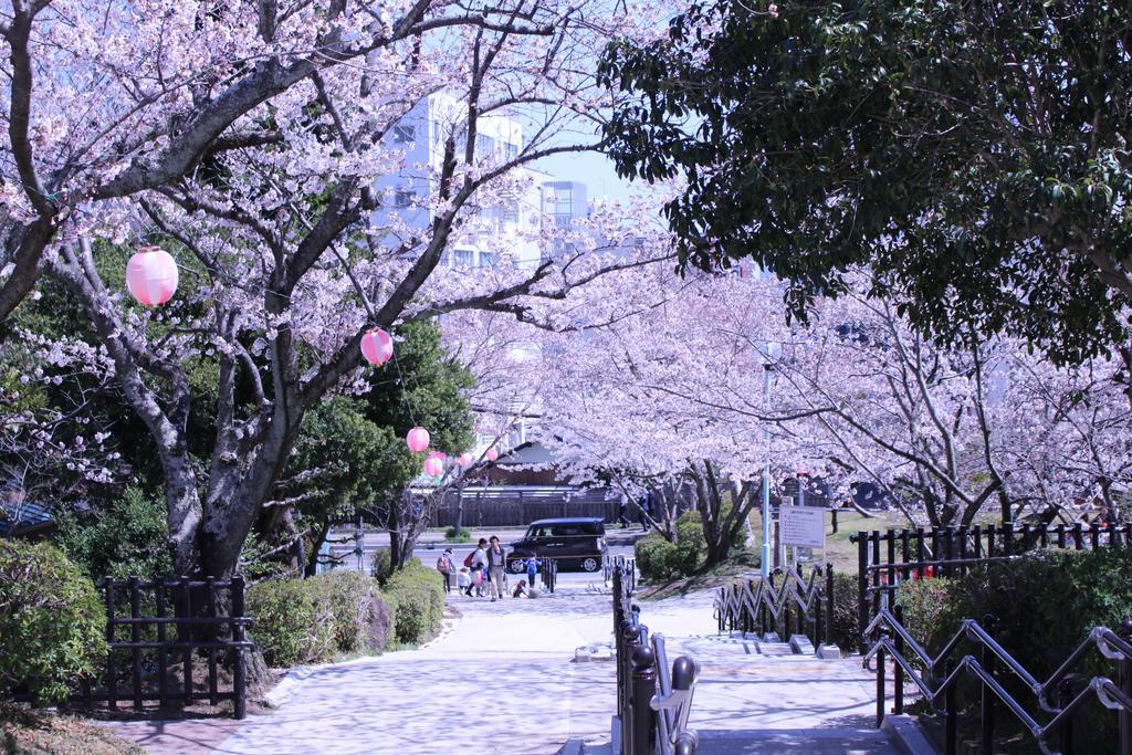 Miyako City Cu Exteriér fotografie